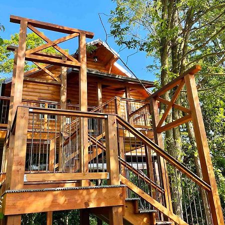 Cricket Hill Treehouse By Amish Country Lodging มิลเลอร์สเบิร์ก ภายนอก รูปภาพ